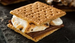 Smores-Shakeology-Marshmallow